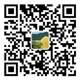易彩堂网站